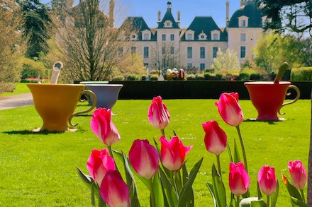 Les tulipes roses et blanches dites "Château de Cheverny" devant la façade nord du château